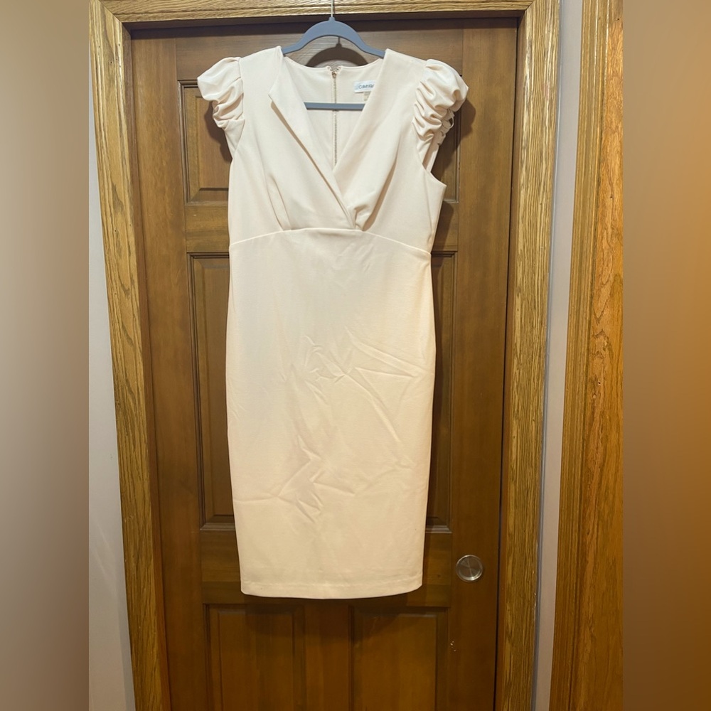 Calvin Klein leach dress